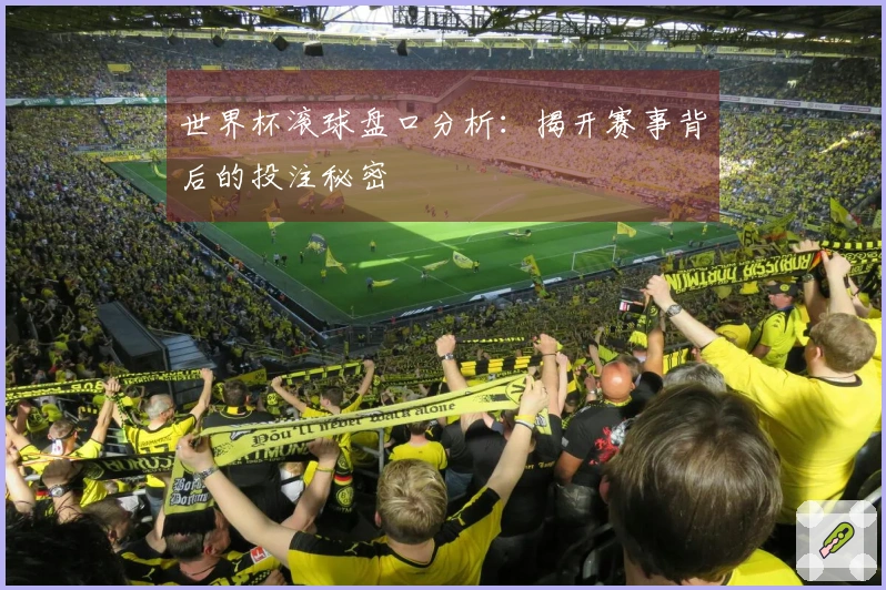 世界杯滚球盘口分析：揭开赛事背后的投注秘密