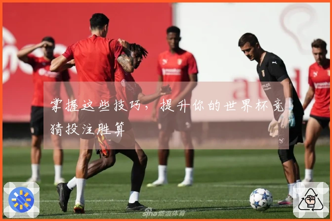 掌握这些技巧，提升你的世界杯竞猜投注胜算