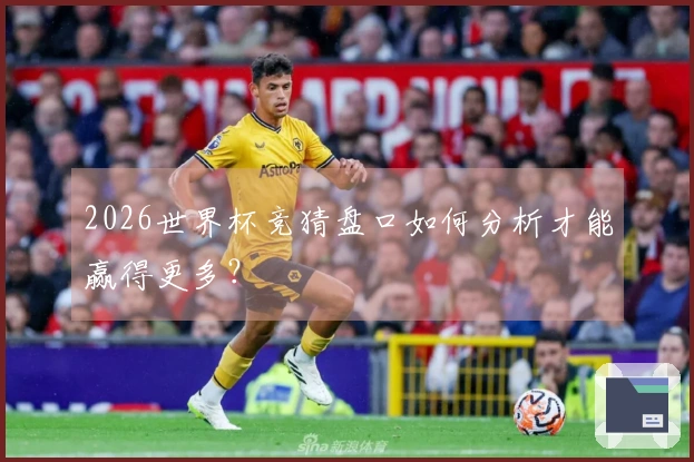 2026世界杯竞猜盘口如何分析才能赢得更多？