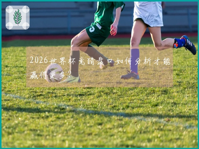2026世界杯竞猜盘口如何分析才能赢得更多？