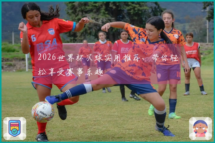 2026世界杯买球实用推荐，带你轻松享受赛事乐趣