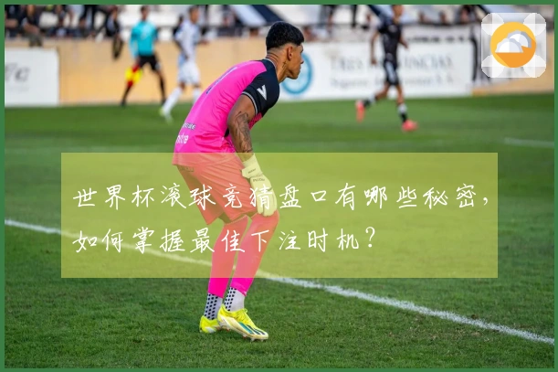 世界杯滚球竞猜盘口有哪些秘密，如何掌握最佳下注时机？